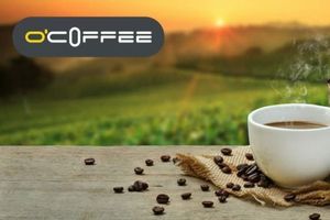 Кофе: Путь от плантации к чашке фото